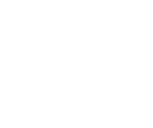 Straight Line Painting LOGO